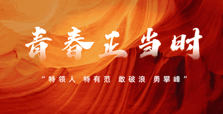 青春正当时 | 特领安全2025年度新员工拓展活动